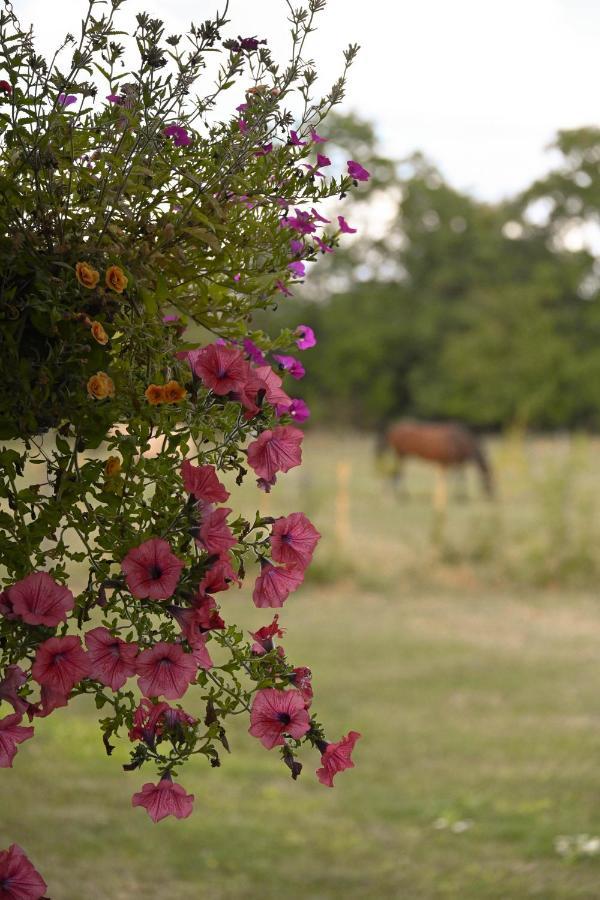 Sweet Pea Cabin Badsey Εξωτερικό φωτογραφία